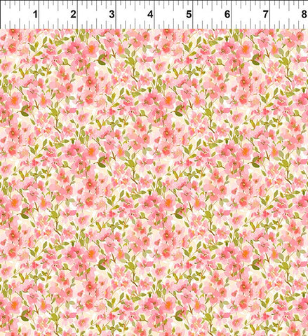 Lovelies 4LOV-1 Blush Grace