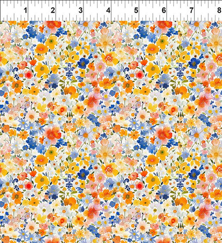 Lovelies 6LOV-1 Multi Charlotte