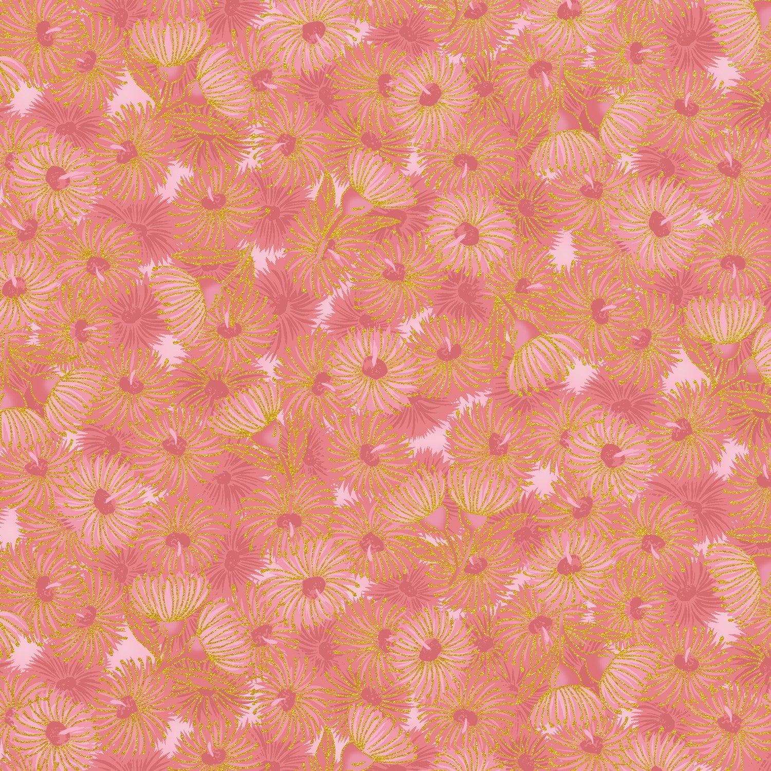 UTAS - Flowering Gum - Pink (0012-26)